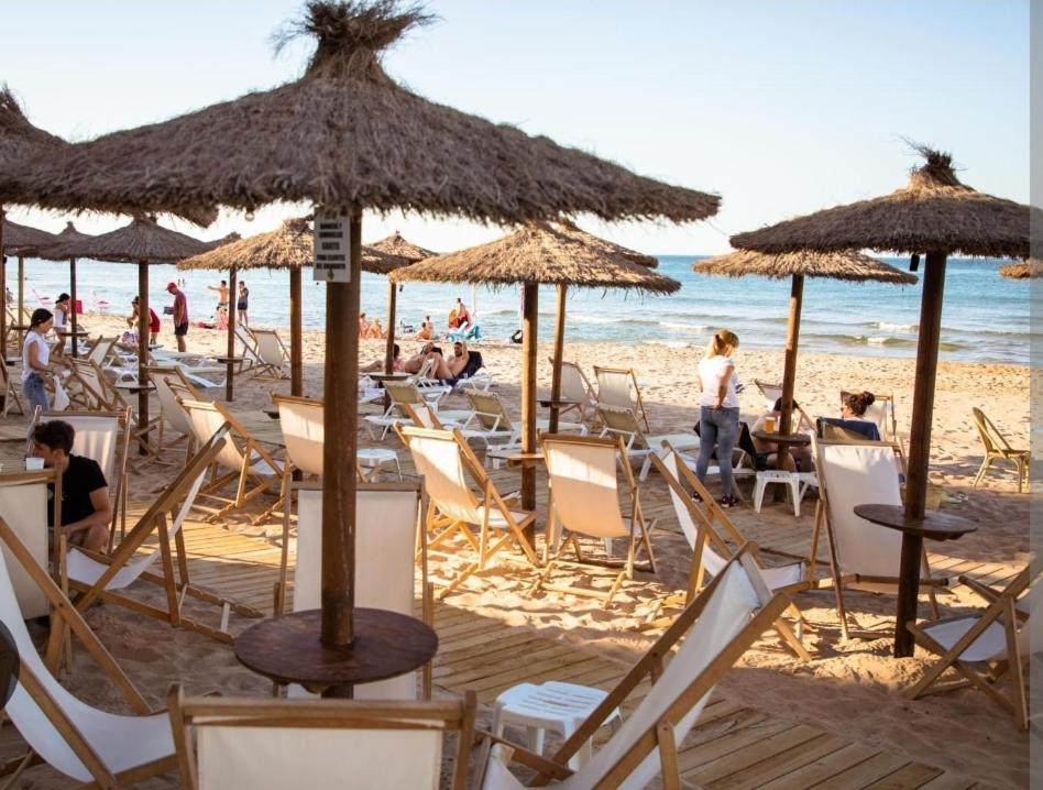 Acogedor Apartamento Con Vistas Al Mar. Bellreguard Oda fotoğraf